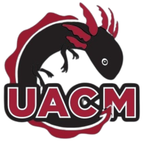 Plataforma virtual-Innovate IA