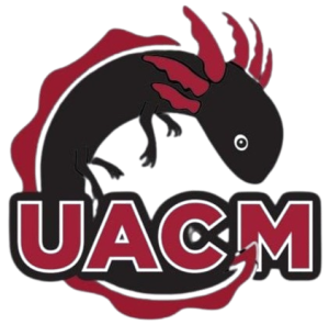 Plataforma virtual-Innovate IA